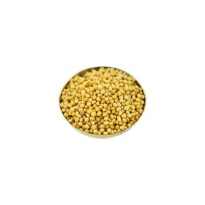 White Sorse (Mustard) – Sacred Mustard Seeds for Puja & Rituals